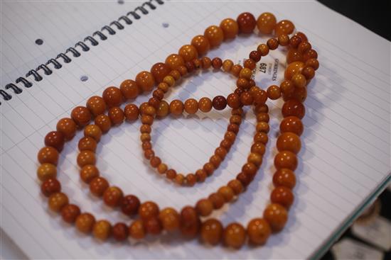 A long single strand graduated circular amber bead necklace, 51in.